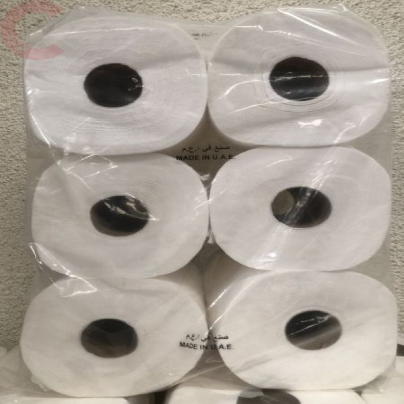 Maxi Roll 2 ply x 100 meters 700 grams per roll 1 Bale x 6 rolls